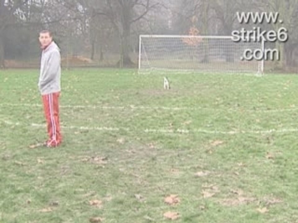 Gardien de buts