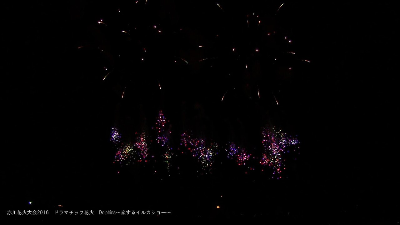 赤川ドラマチック花火2016　Dolphins～恋するイルカショー～　akagawa fireworks 2016. Dramatic fireworks.