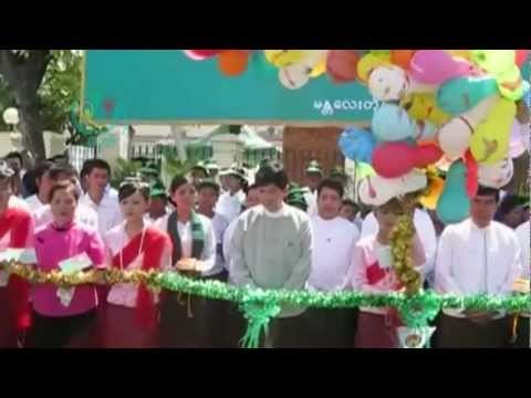 The Story Behind Burma's Election 2010