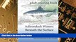 Big Deals  Adirondack Waters: Beneath the Surface  Best Seller Books Best Seller