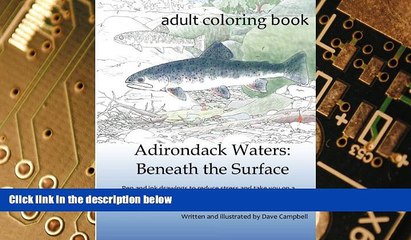 Big Deals  Adirondack Waters: Beneath the Surface  Best Seller Books Best Seller