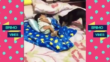 Funny Cute Kids Vines May 2016 l Vine Compilation