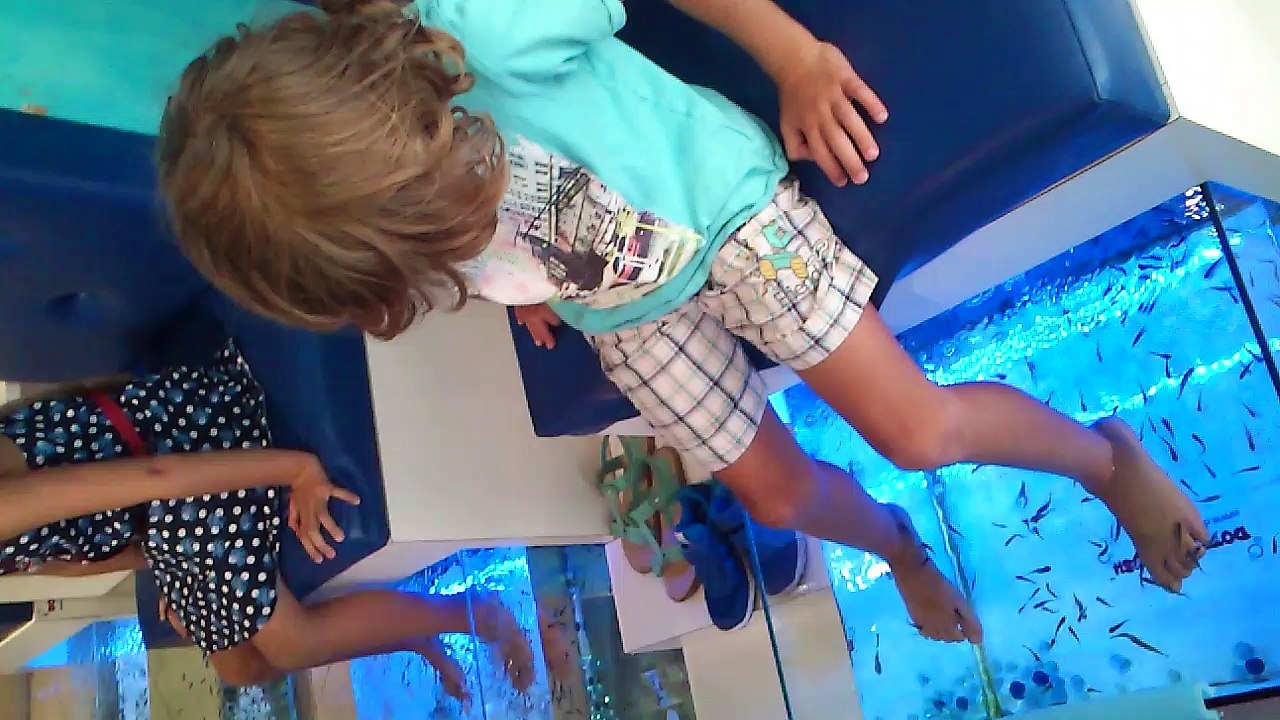 Fish therapy