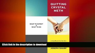 FAVORITE BOOK  Quitting Crystal Meth: What to Expect   What to Do: A Handbook for the first Year