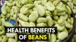 Health Benefits of Beans- Health Sutra