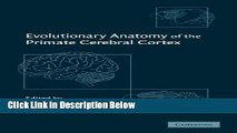 Books Evolutionary Anatomy of the Primate Cerebral Cortex Full Online
