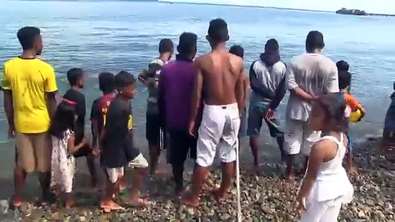 Quand un touriste américain négocie pour la libération d'un requin baleine en Indonésie...