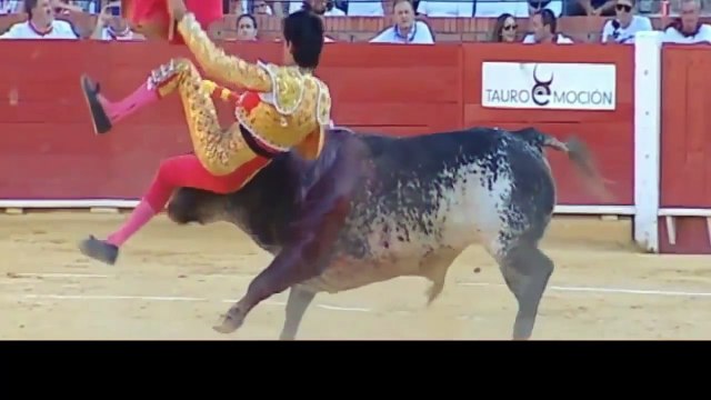 ..Horror moment! 29 years old Spanish bullfighter - GVP..