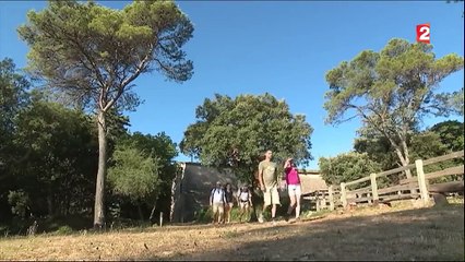 Vacances, les gorges de l'Hérault, un paradis pour les amateurs de nature - france2