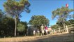 Miniature DailyMotion