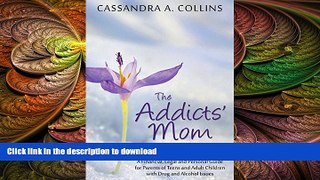 FAVORITE BOOK  The Addicts  Mom: A Survival Guide: A Financial, Legal and Personal Guide for