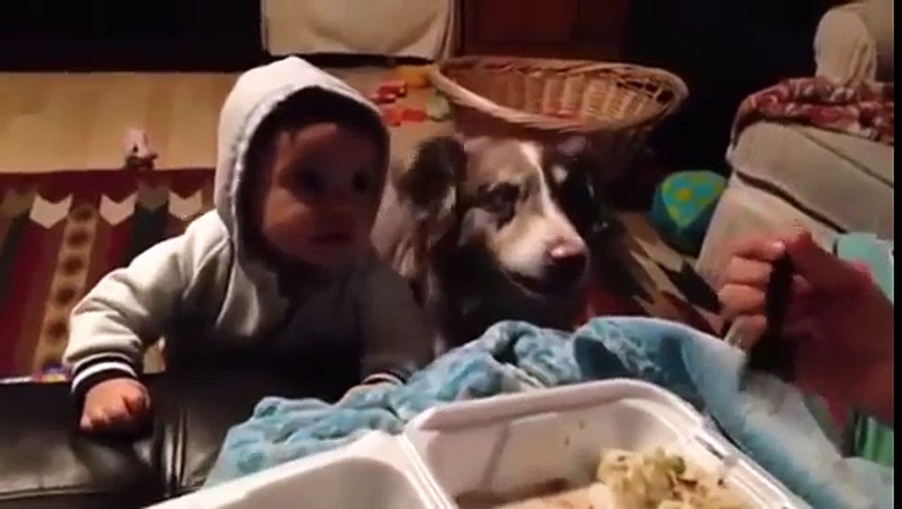 Il cane dice 'MAMMA' prima del bambino. Ecco la Reazione!