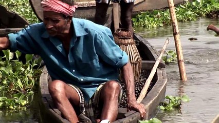 God's Own Country- Kerala , India