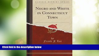 Big Deals  Negro and White in Connecticut Town (Classic Reprint)  Best Seller Books Best Seller