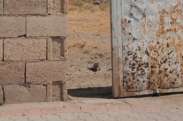 Karkamış'ta 'evlerinizden çıkmayın' anonsu