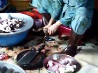 NGHIỆP SÁT  .   TT  THÍCH CHÂN TÍNH    (3)