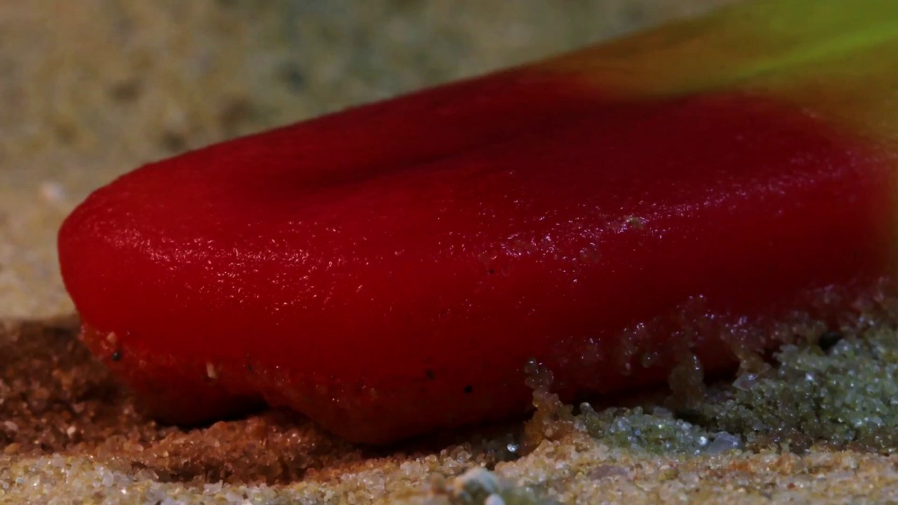 Fonte de batonnets de glaces filmés en gros plans !