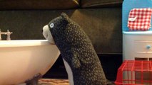 Petit film en stop motion par une fillette de 8 ans avec son ours en peluche