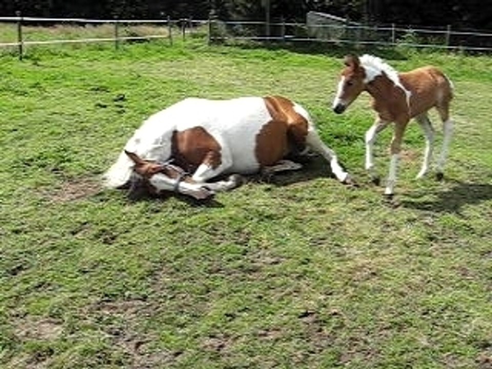 Canelle et Zara