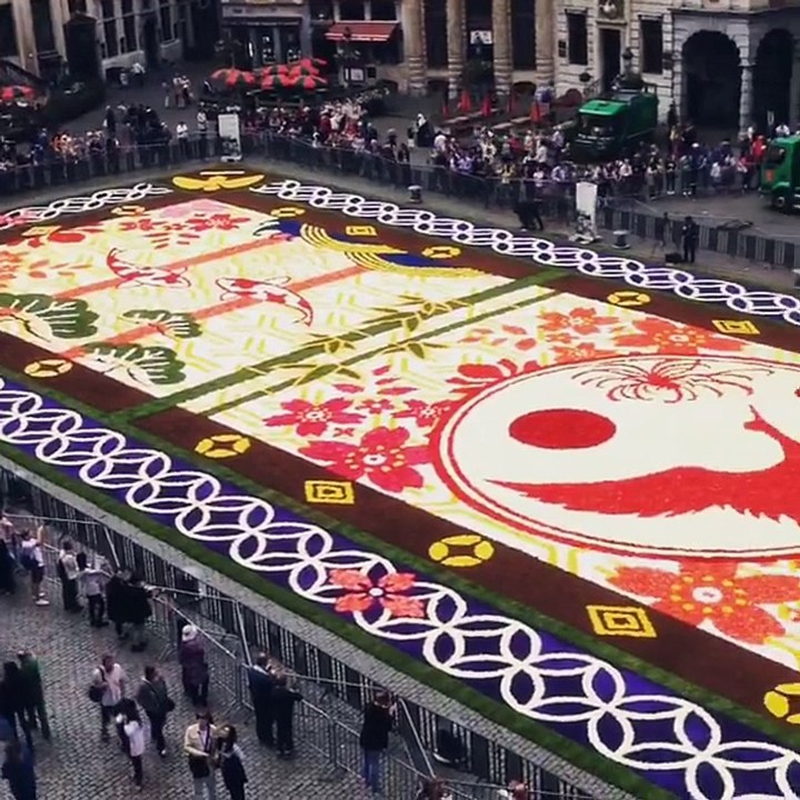 Tapis de fleurs à Bruxelles