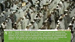 Recitation from Surah Al-Fath (28-29) by Sheikh Baleelah