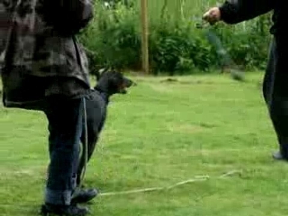 MOV00115