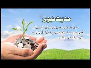 Halal Haram Aamdani | Hadees With Urdu Translation | Hadees Of The Day | Thar Production