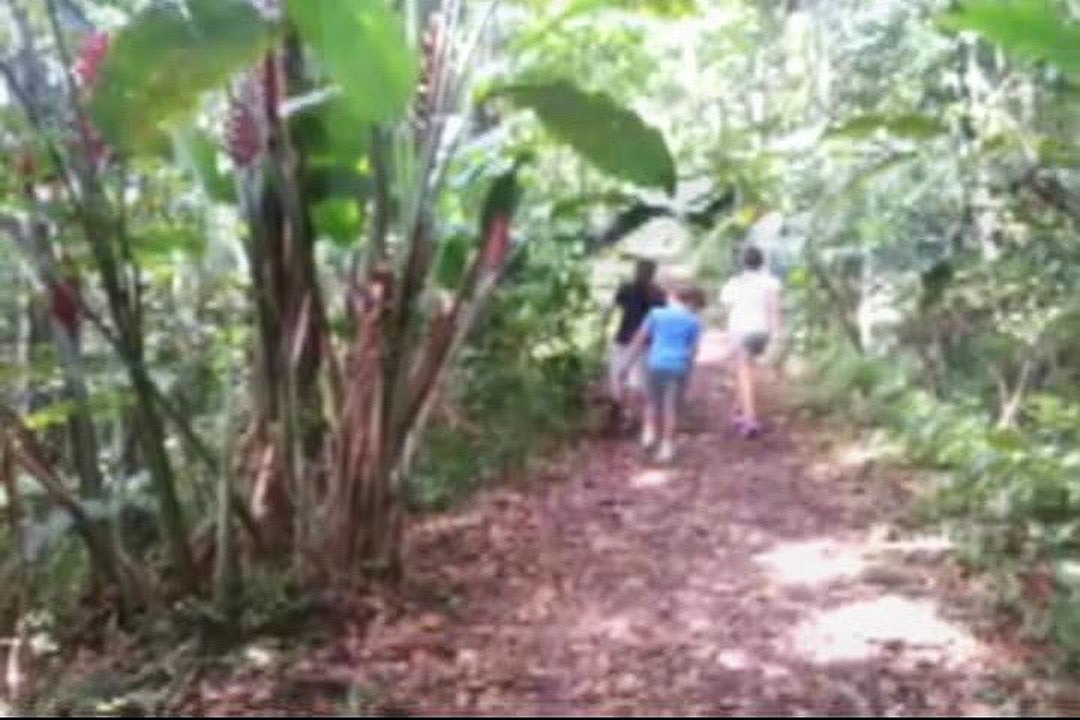 Les C2C en Martinique - été 2016