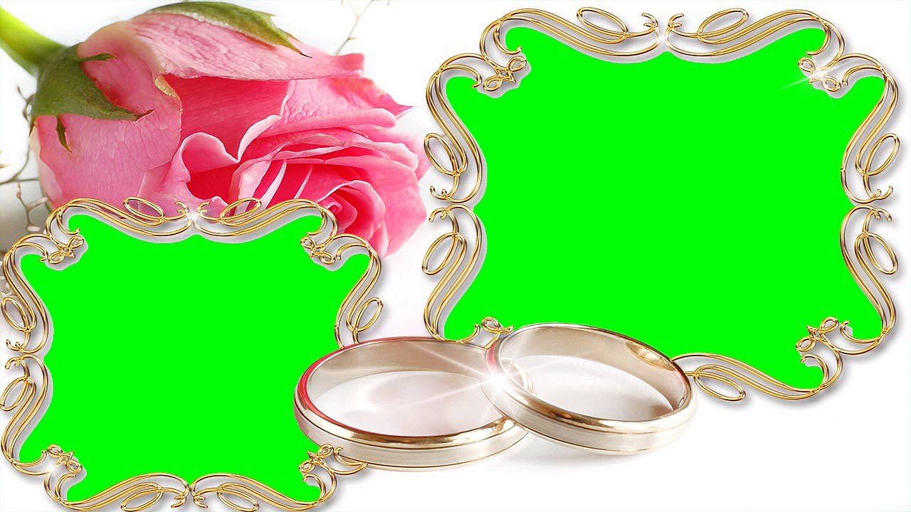 Nice Photo Frame Green Screen Video Free for Editing (12)