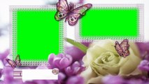 Nice Photo Frame Green Screen Video Free for Editing (15)