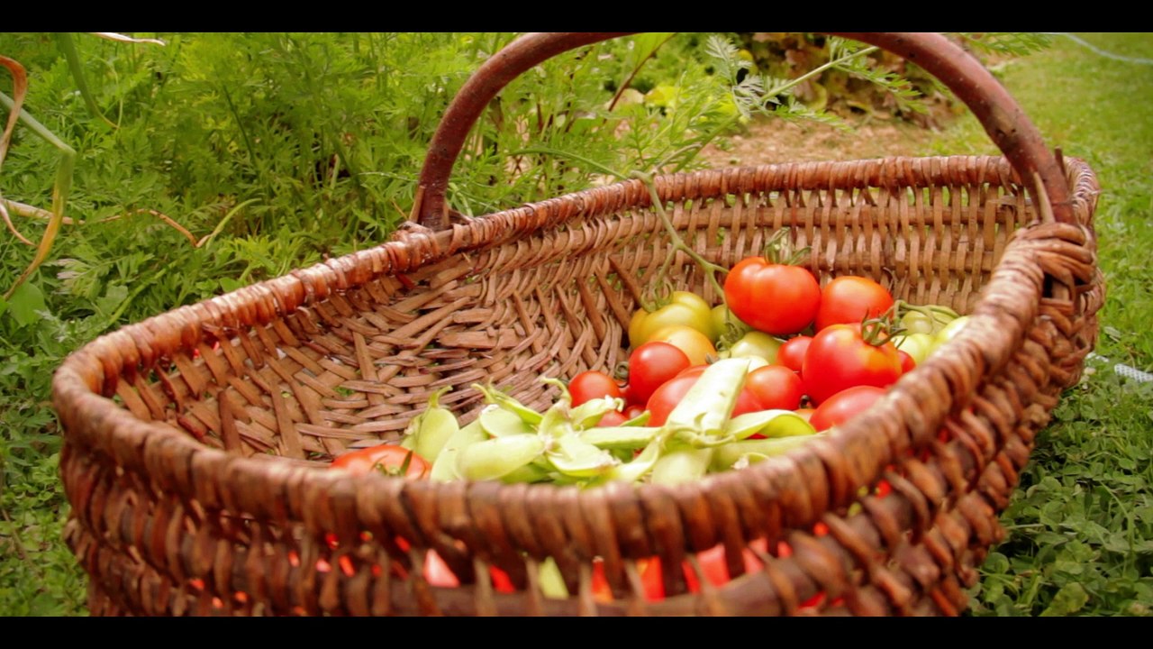 Vei Lou Queri - chambres et table d'hôtes et gîte - Creuse, Limousin