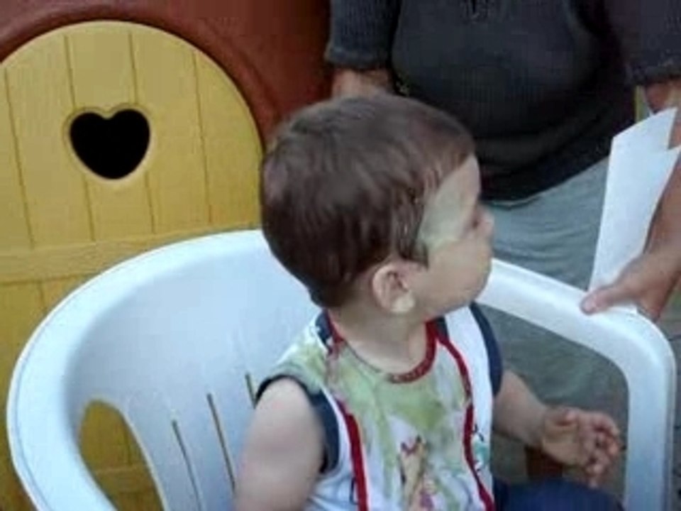 Shrek en vidéo