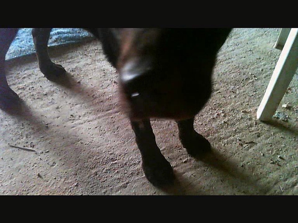 drone3