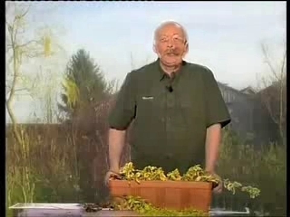 Marcotter
