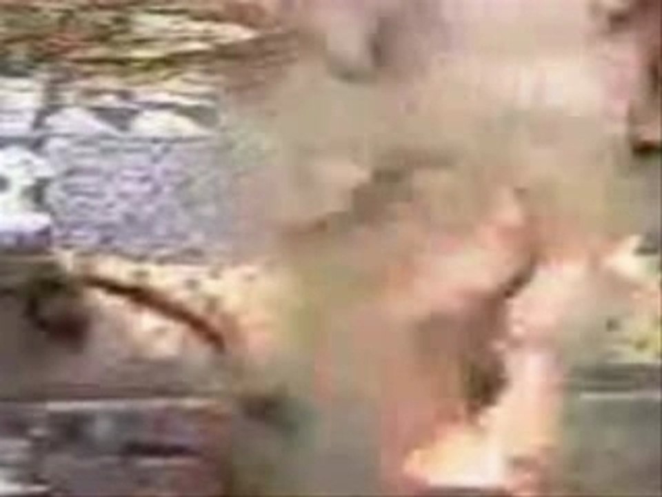 Paf le chien video interaktive