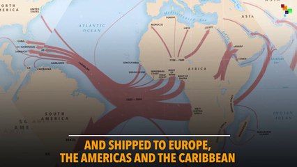 The Slave Trade: When Millions Died in Vain