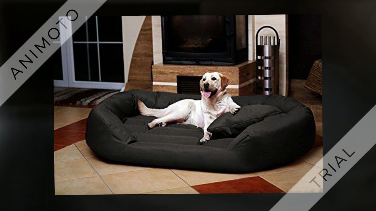 Hundesofa_hundekörbe_ratgeber_und_test_1080p (1)