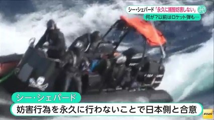 【米シー・シェパード】捕鯨妨害を永久に行わないことで日本側と合意