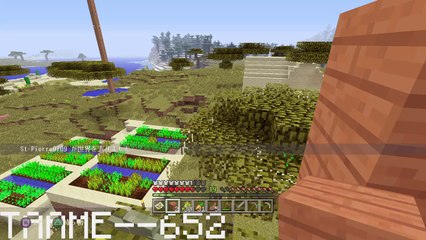 Minecraft: PlayStation®4 Edition_20160824010422