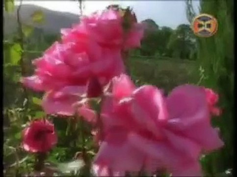 Sehra By Naeem Hazarvi -