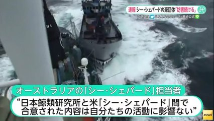 【豪シー・シェパード】今後も捕鯨妨害を続ける考えを示す