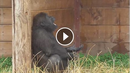 When you get caught in the rain without an umbrella