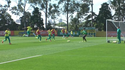 Download Video: Muralhas! Goleiros fazem defesas incríveis em treino do Palmeiras