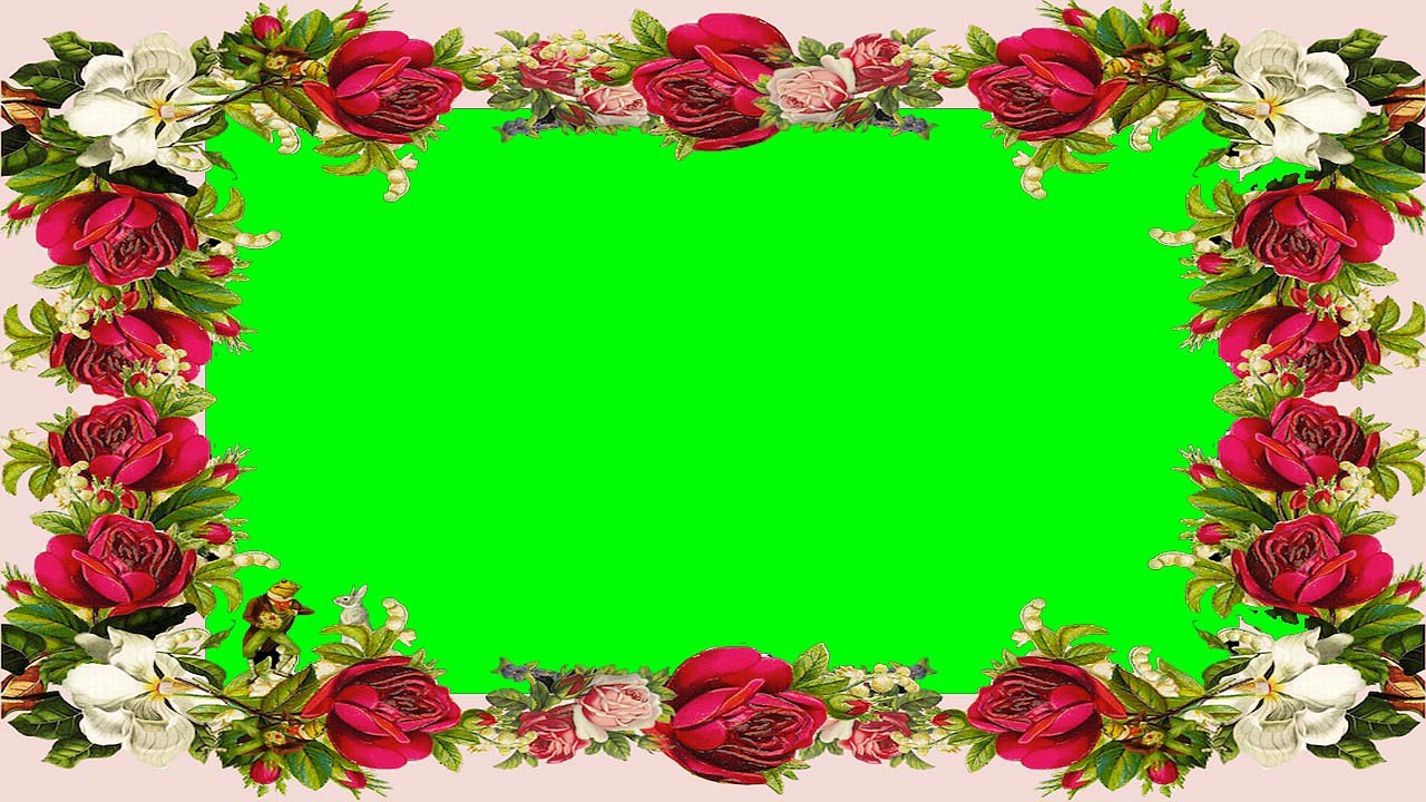 Nice Photo Frame Green Screen Video Free for Editing (20)