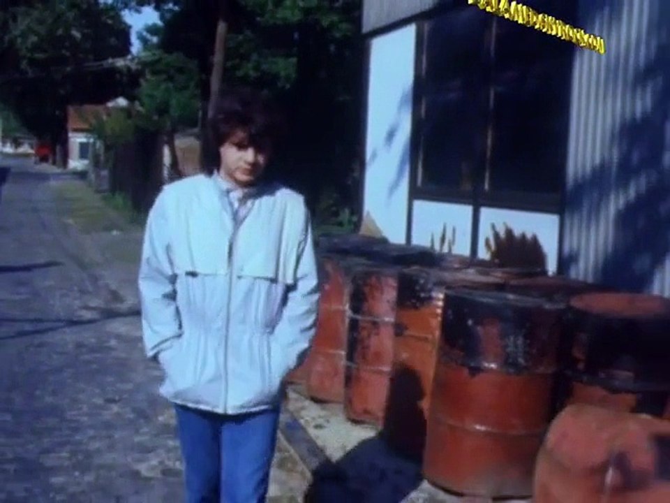 Daniel BALAVOINE - Vivre ou Survivre (RARE 1982)