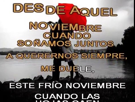 NOVIEMBRE SIN TI - REIK - KARAOKE - PISTA Y LETRA