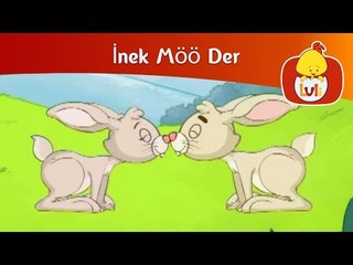 İnek Möö Der - Tavşan, Luli TV