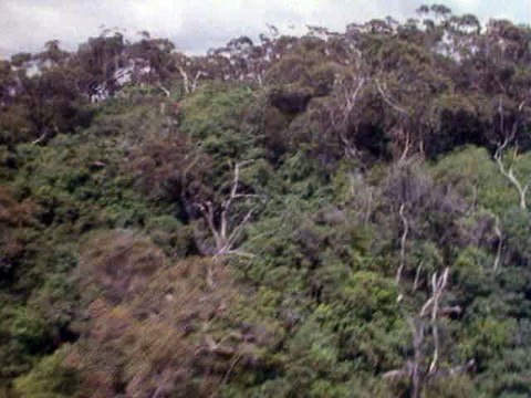 Secrets de guerre 08-13 S1 - Hommes torpilles et sous marins de poche