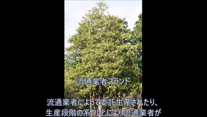 流通業者ブランド～JDPアセットマネジメント資産管理用語集