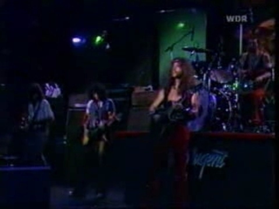 Great white buffalo